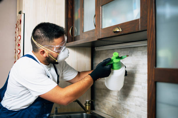 Best Residential Pest Control  in Maine, WI