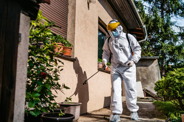 Best Wildlife Control Services  in Maine, WI
