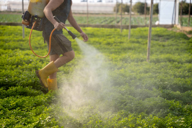 Best Affordable Pest Control Services  in Maine, WI