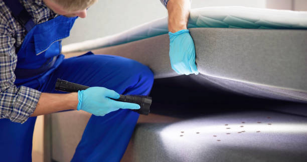 Best Pest Inspection Near Me  in Maine, WI