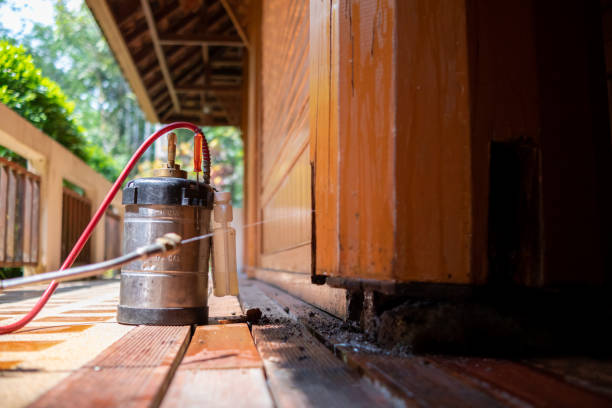 Best Exterminator Services  in Maine, WI