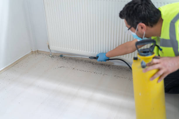 Best Best Pest Control Companies  in Maine, WI